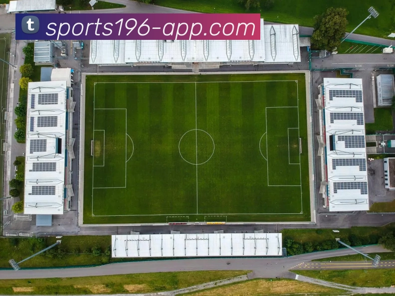 196体育平台生态图